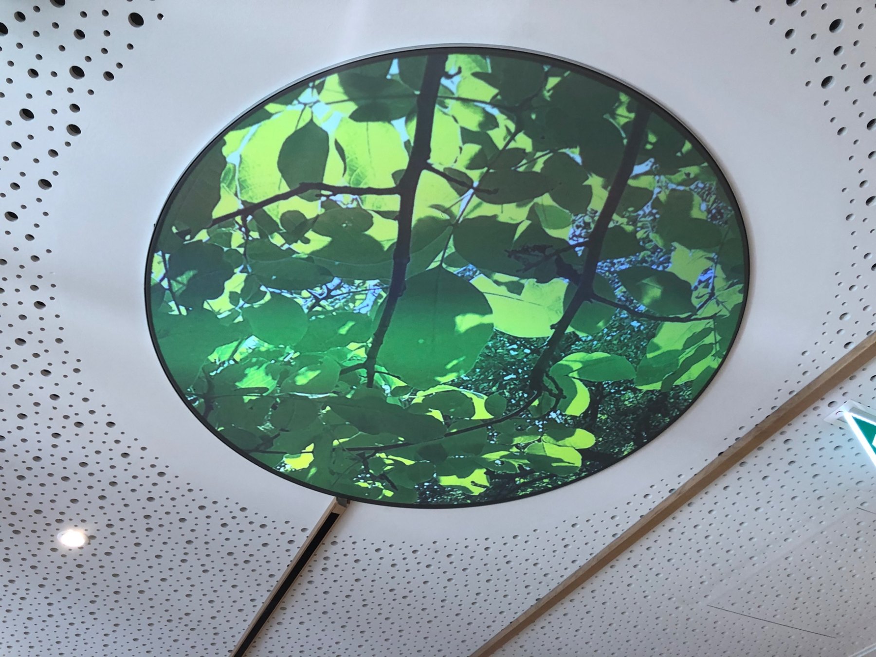 Spa-Installation – KissSalis, Bad Kissingen